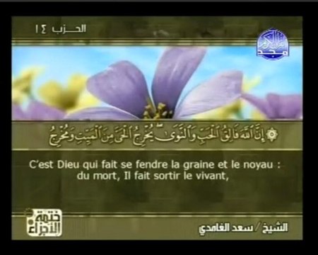 Islam - Sourate 6 - Al An'âm - Les Bestiaux - Le Coran complet en vidéo (arabe_français)