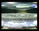 Islam - Sourate 16- An-Nahl - Les Abeilles - Le Coran complet en vidéo (arabe_français)