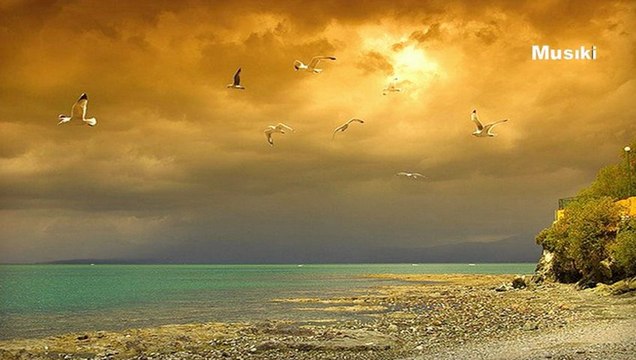 Saime Sinan ♫ Ümitsiz bir bekleyiş hasreti var içimde.HD