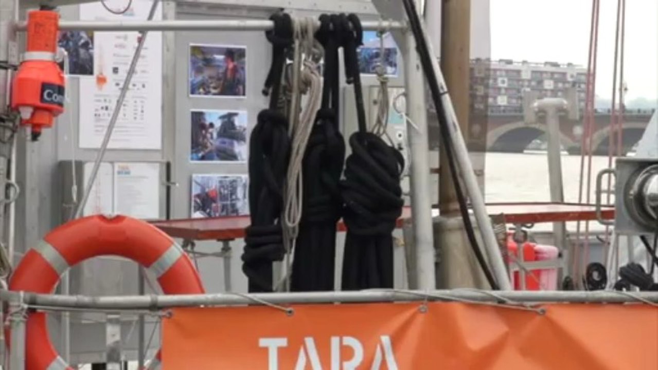 La goélette scientifique Tara fait escale à Bordeaux