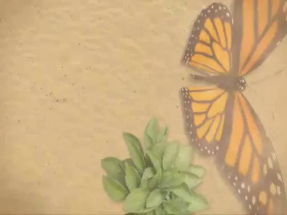 Woodworking Plans - Woodworking Furniture Plans and Ideas