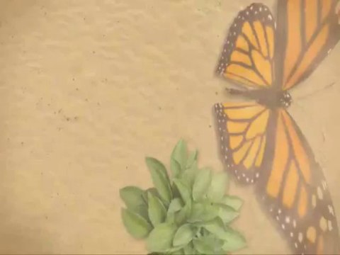 Woodworking Plans - Woodworking Furniture Plans and Ideas