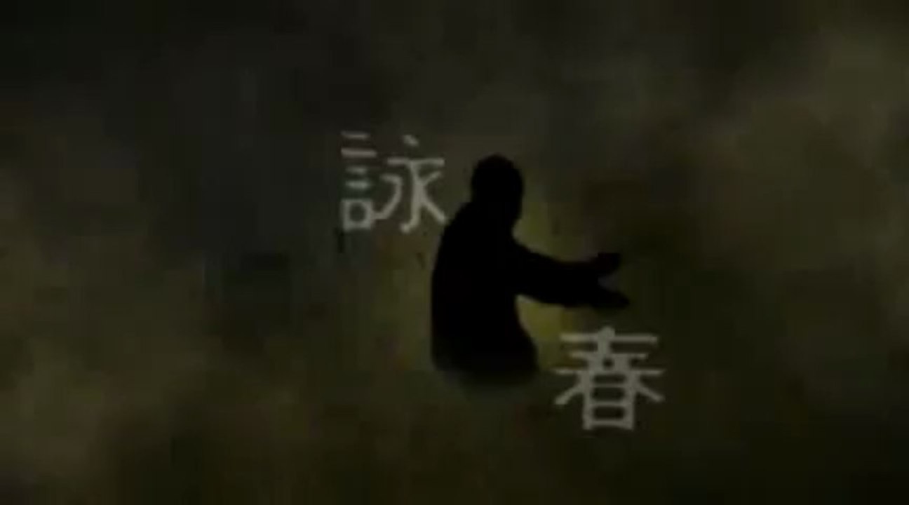 The Fighting Style of IP Man