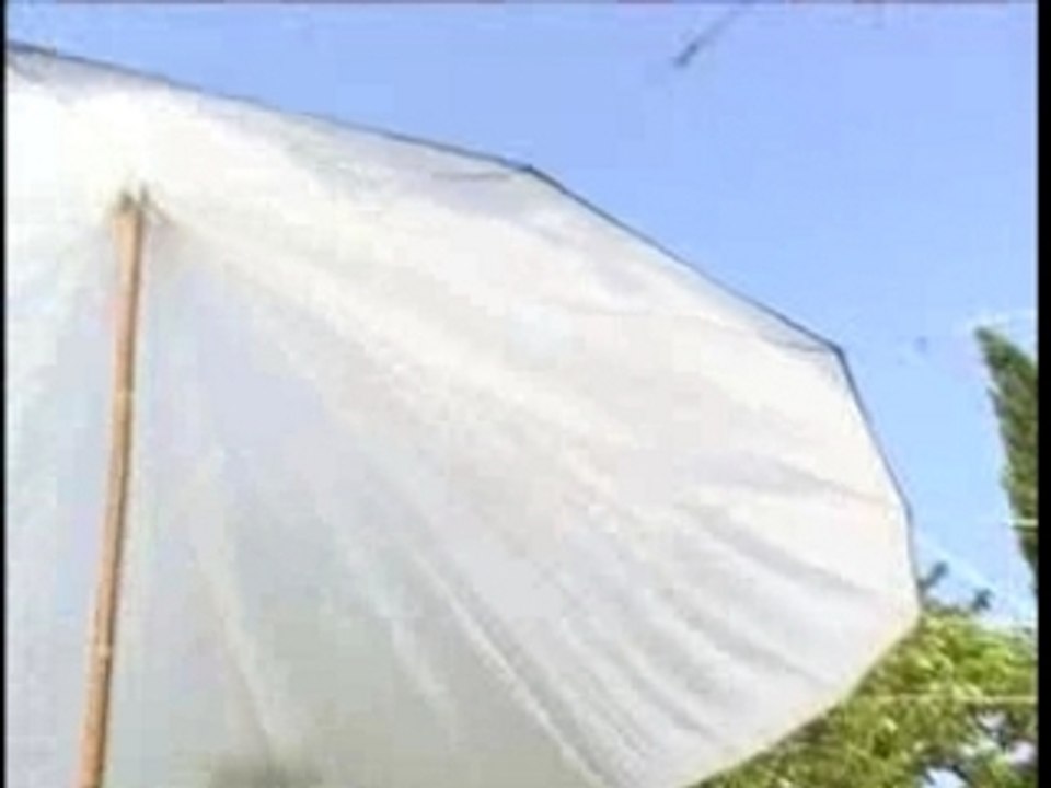 Einfallsreich.tv_travel_ Ibiza - Hip