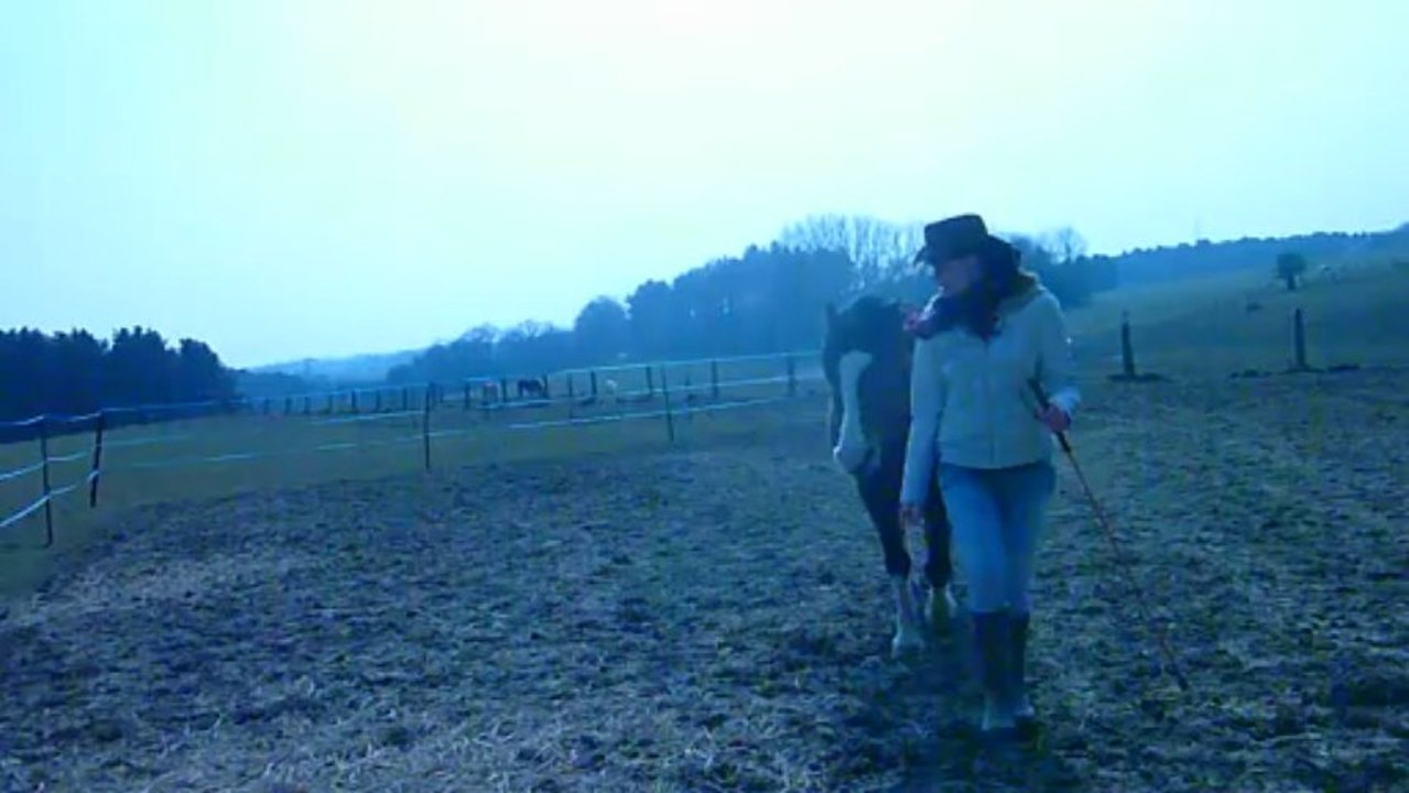 4 avril 2013 Seller en liberté