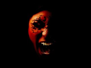 noisekick-we gaan ons kapot drinken