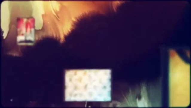 Excelle Carpet Care (916) 601-1409