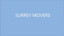 Small Moves Surrey - Movers Surrey