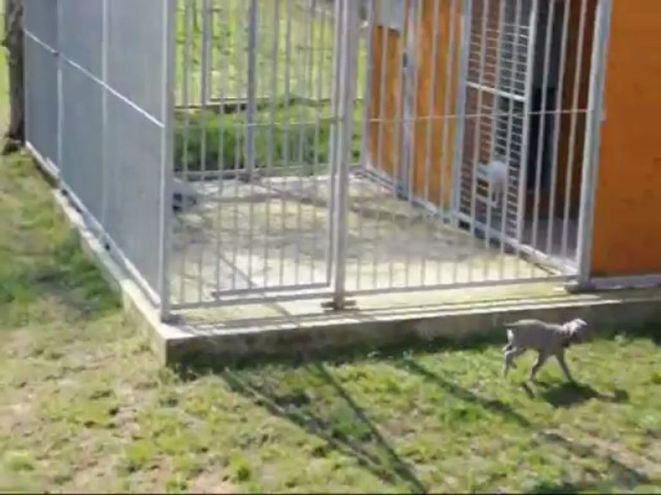 Folie Falco bébés 6sem... par une matinée tranquille le 1er Avril 2013