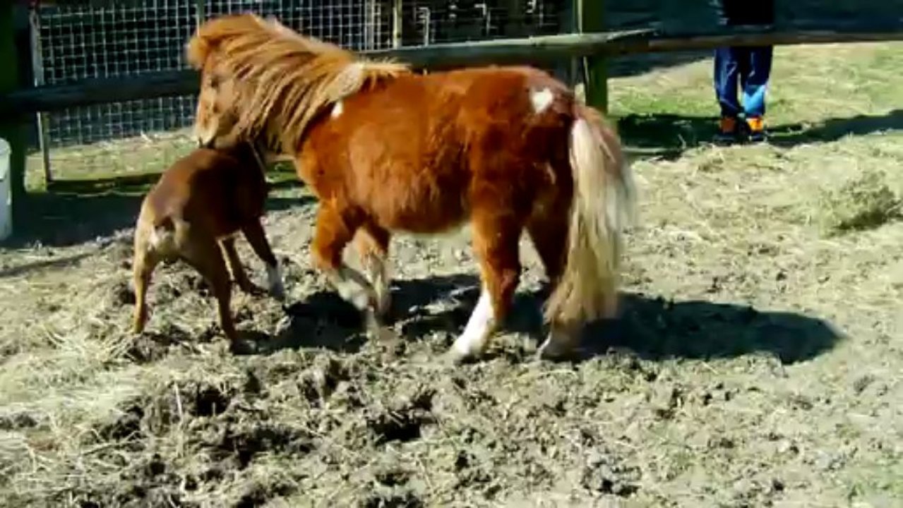 Caramel et Dony- avril2013
