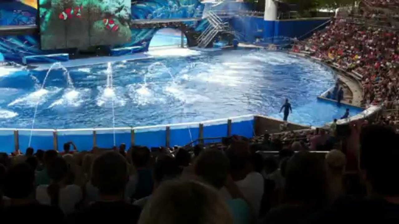 sea world - les orques - Orlando