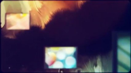 Firmender & Son Painting & Wall Covering (203) 378-1818