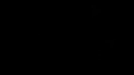 vente Bastide Provencale BESSE SUR ISSOLE