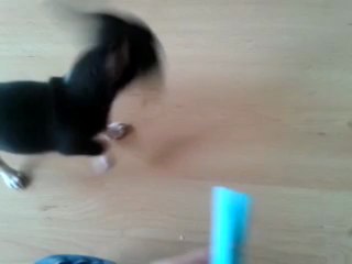 Iron rapporte sa pince à linge