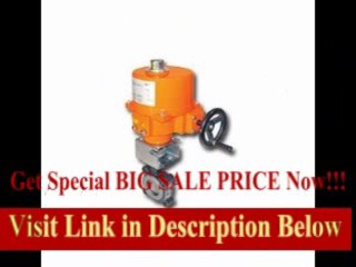 [REVIEW] Butterfly Valve