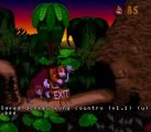 Donkey Kong Country (SNES) 101% 6/14