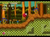 Sonic The Hedgehog 3 & Knuckles (Knuckles Mode) 9/14