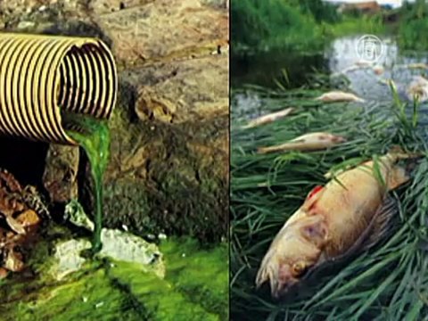 В Китае исчезло почти 30 тысяч рек