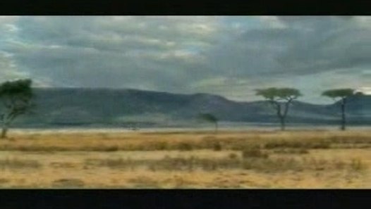 antilope africaine 5 lettres