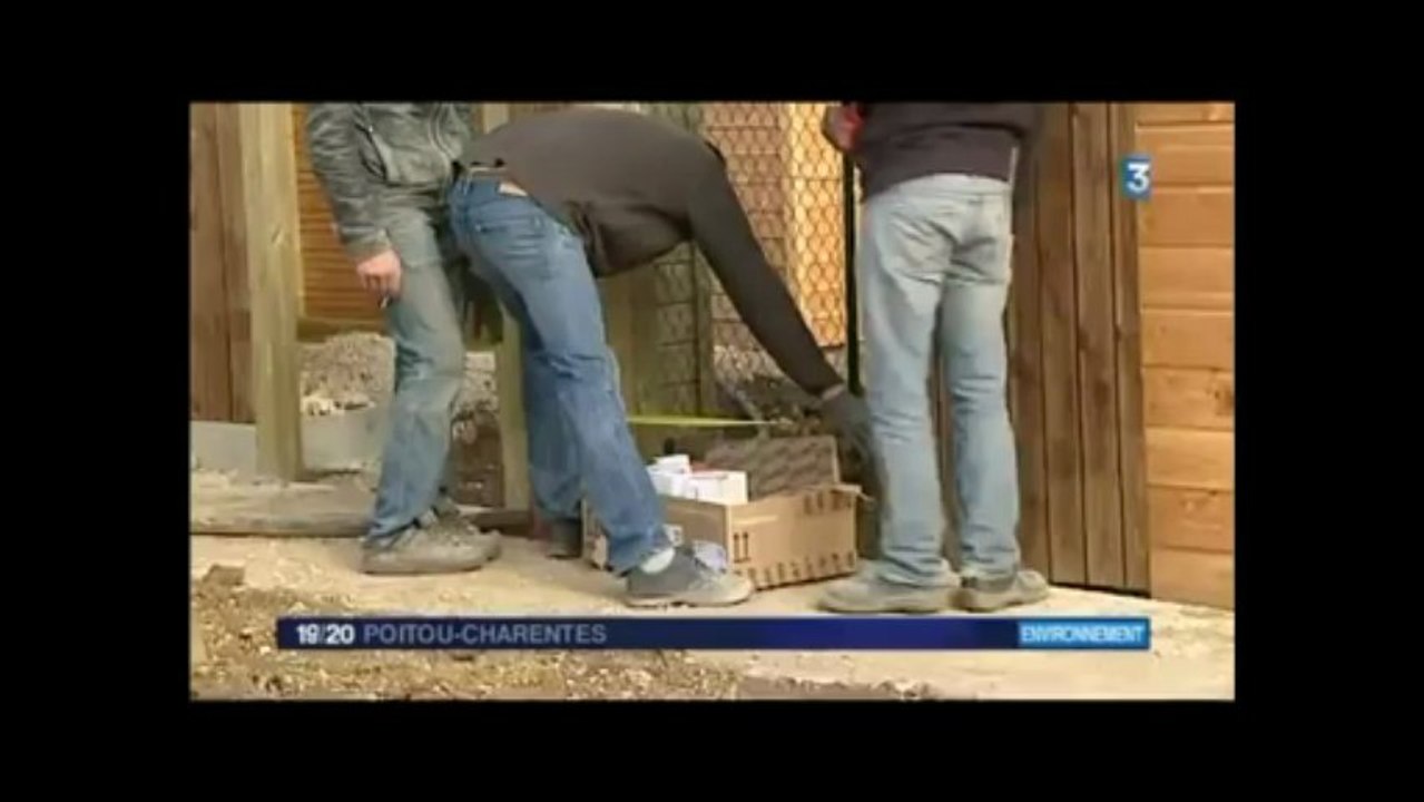 Green-Home - Eco-quartier le 19/20 sur France 3 -