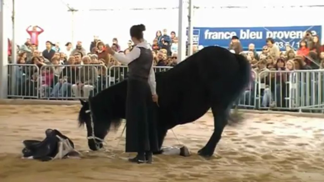 Fête du Cheval Calas 2013 (13) Cavaliers et artistes en herbe