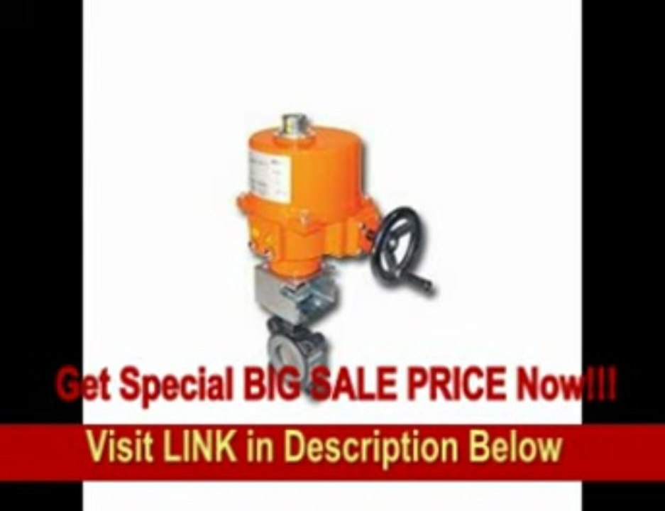 [BEST BUY] Belimo Aircontrols (Usa), Inc. Butterfly Valve