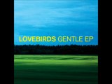 Lovebirds - Gentle