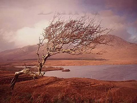 Ugur Karakus Mecnun Diyorlar Desinler El bana Zalim 2013