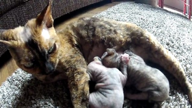 SAMIA,LILLY-JOY ET LES BEBES....