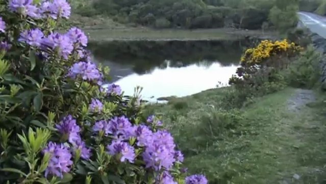 New01.mpg Irelande 4 Connemara