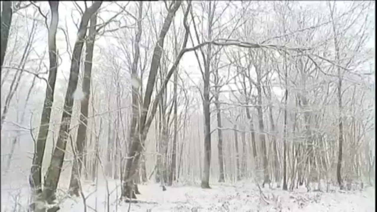 L'hiver fait de la résistance en Normandie