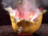 Exploding Lemon in slow motion Cave Johnson style