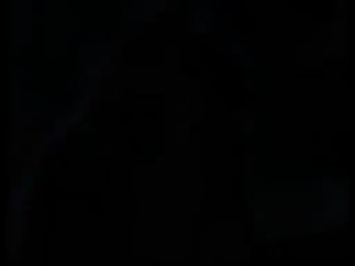 Yorkshire Terrier Shangai Express du domaine de Monderlay