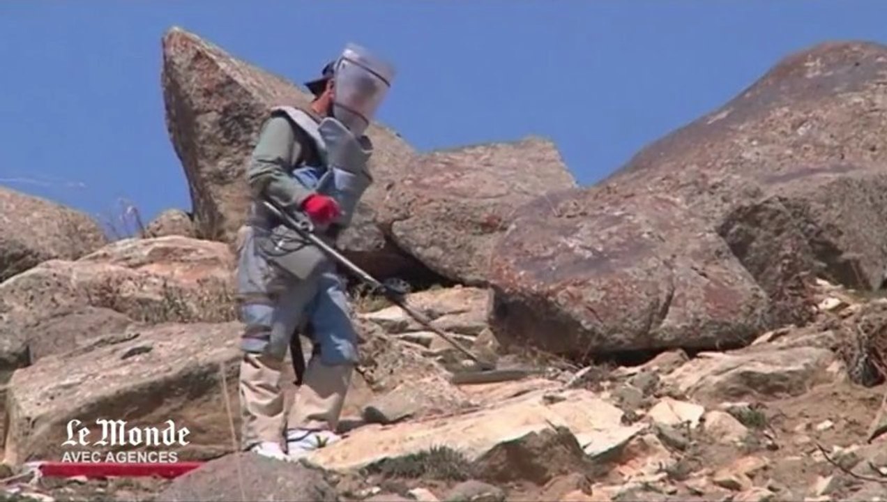 L'appel des démineurs afghans