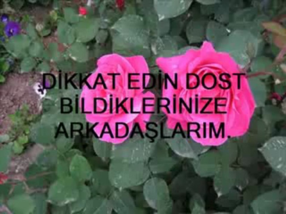 DOST BİLDİKLERİM.