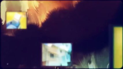 Francisco Painting (818) 437-8762