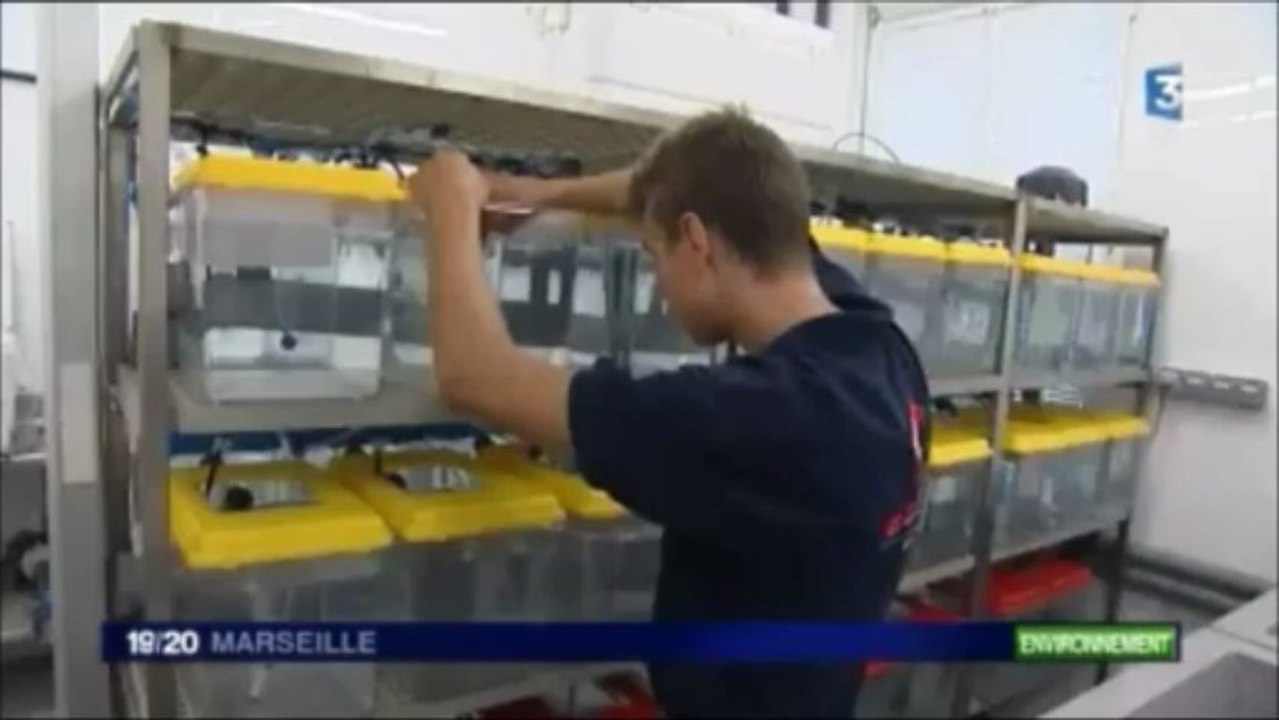 JT France 3 sur Biorestore et Biohut