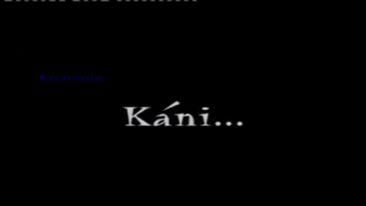 KANI 1-1