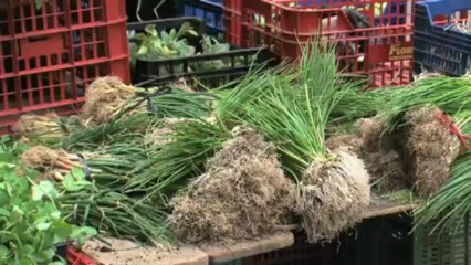 El medi ambient - Calendari de la natura: abril