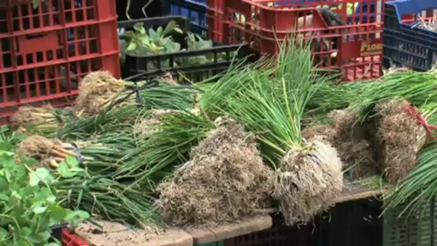 El medi ambient - Calendari de la natura: abril