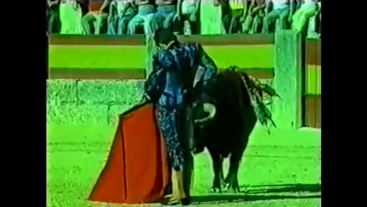 Jose Tomas en Ronda