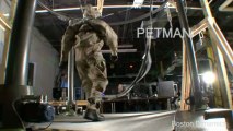 Petman Robot Boston Dynamics