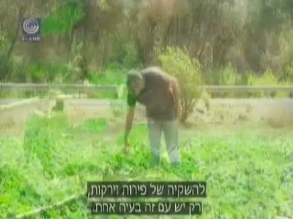 תחקיר הפלואוריד