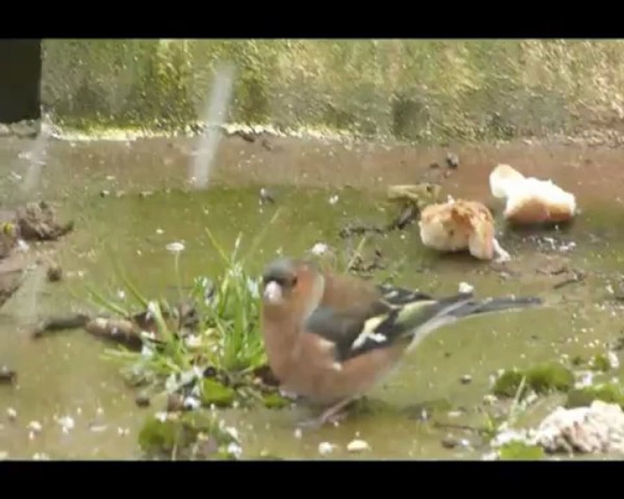 Repas sous la neige_0001