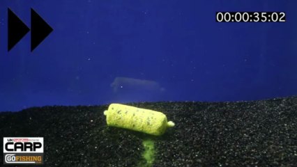 UKCarp and Carl Sharp on Solar's Up & Down Mix