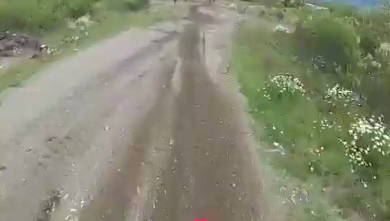Una Vuelta en el Circuito!