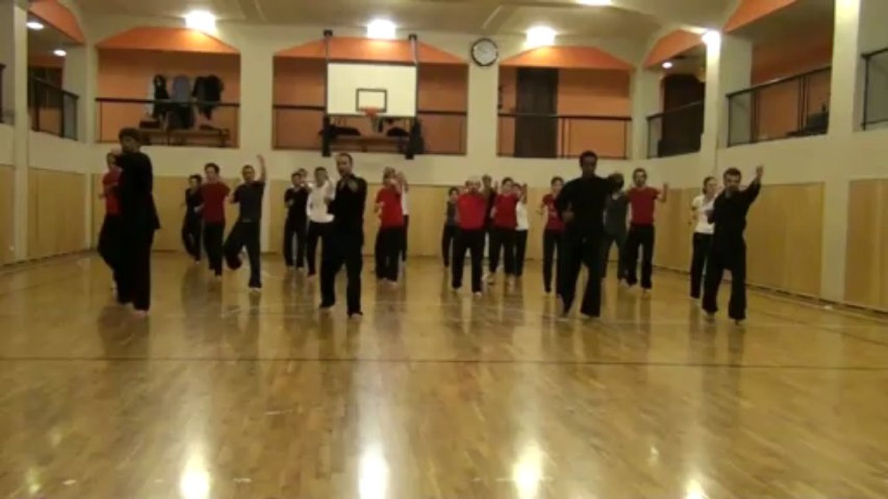 TECHNIQUES DE MILLE BRAS