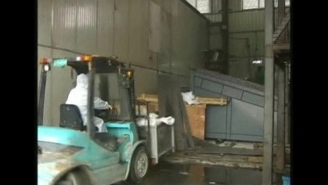 Shanghai authorities announce halt to poultry sales