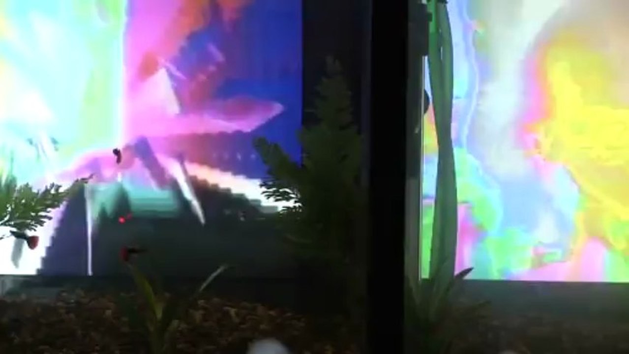 Nam June Paik  - Noise