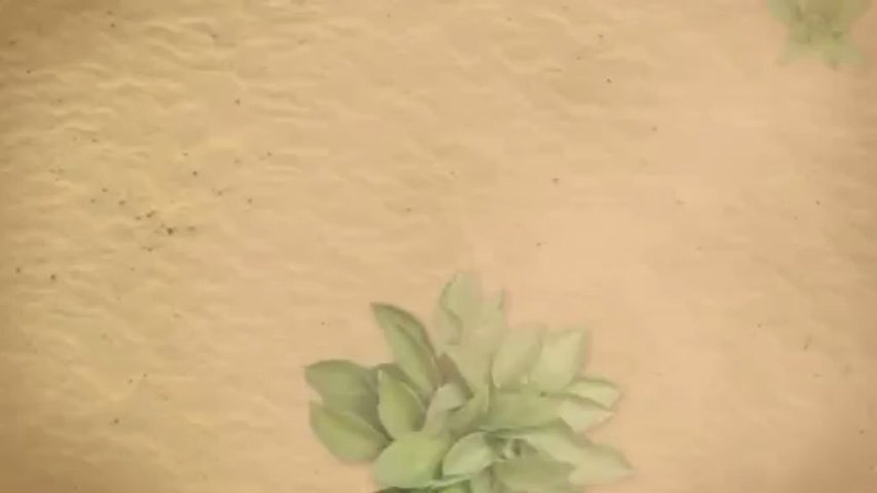 Online Website Builder